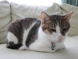 IMG05061.jpg