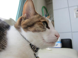 IMG05062.jpg