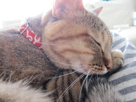 IMG05063.jpg