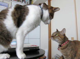 IMG02069b.jpg