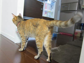 IMG05068.jpg
