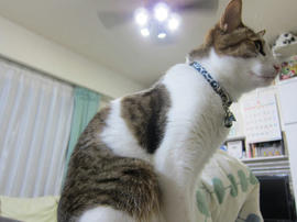 IMG05070.jpg