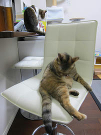 IMG05071.jpg