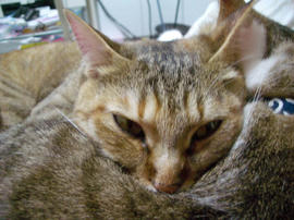 IMGP13780.jpg