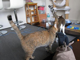 IMG02146.jpg