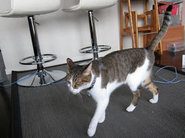 IMG02149.jpg