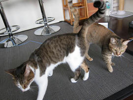 IMG02152.jpg