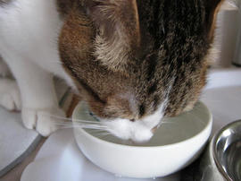 IMG02163.jpg
