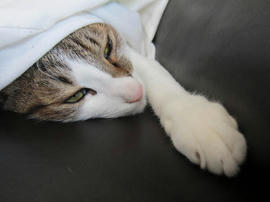 IMG05087.jpg