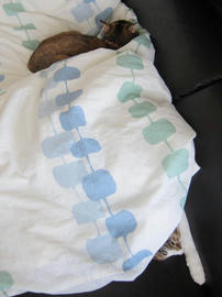 IMG05088.jpg