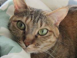 IMG05089.jpg