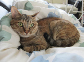 IMG05090.jpg