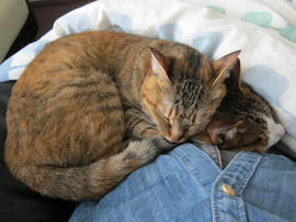 IMG05091.jpg