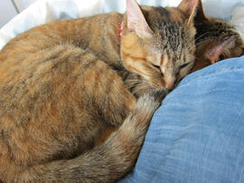 IMG05092.jpg