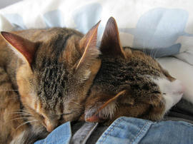 IMG05093.jpg