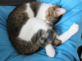 IMG05095.jpg