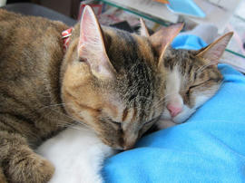 IMG05097.jpg