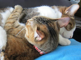 IMG05099.jpg