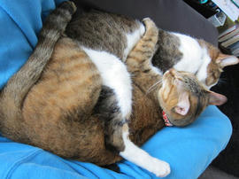 IMG05100.jpg