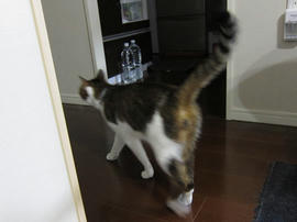 IMG05101.jpg