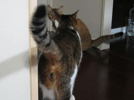 IMG05103.jpg