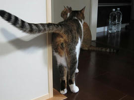 IMG05104.jpg