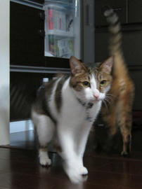 IMG05105.jpg
