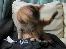 IMG05107.jpg
