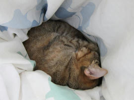 IMG05110.jpg