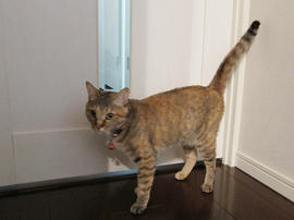 IMG02209.jpg