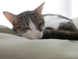 IMG05111.jpg