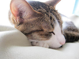 IMG05112.jpg