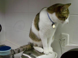 IMGP11201.jpg