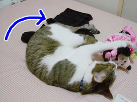 IMGP11213.jpg