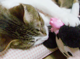IMGP11217.jpg