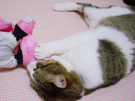 IMGP11218.jpg