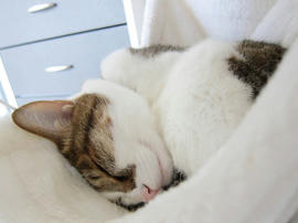 IMG05114.jpg