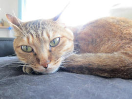 IMG05115.jpg