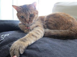IMG05116.jpg