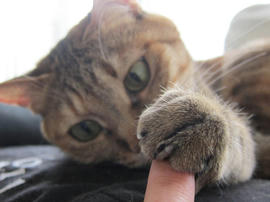 IMG05118.jpg