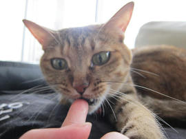 IMG05119.jpg