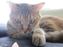 IMG05120.jpg
