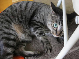 IMG05129.jpg
