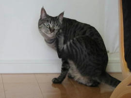 IMG05130.jpg