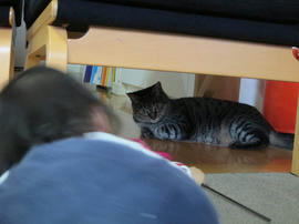 IMG05133.jpg