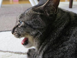 IMG05136.jpg