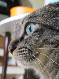 IMG05137.jpg
