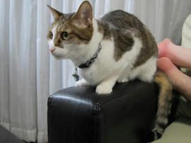 IMG05142.jpg