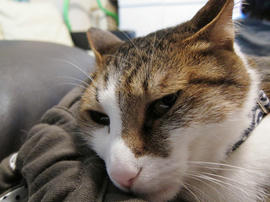 IMG02263.jpg