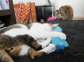 IMG05144.jpg